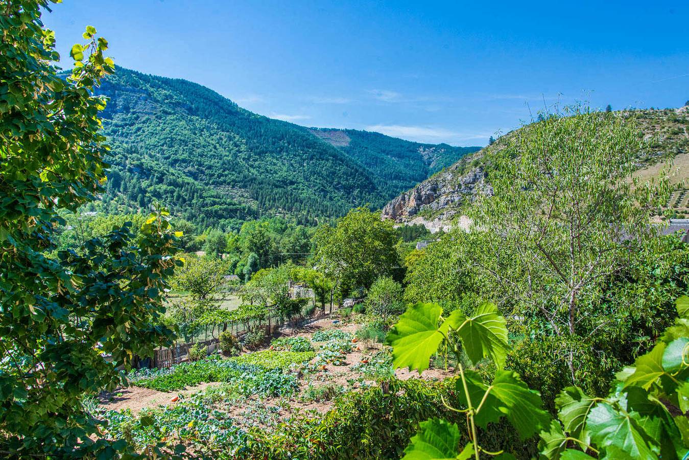 L'Amandier à Blajoux in Quézac, Cevenas