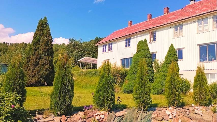 Bed and Breakfast für 1 Personen, mit Haustier - 1