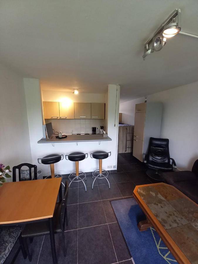 Gîte pour 6 personnes, avec terrasse et vue, animaux acceptés à La Calamine - 2