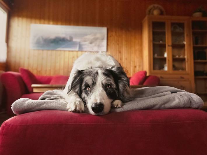 Ferienhaus für 2 Personen, mit Garten, mit Haustier in Naturpark Lauenburgische Seen - 2