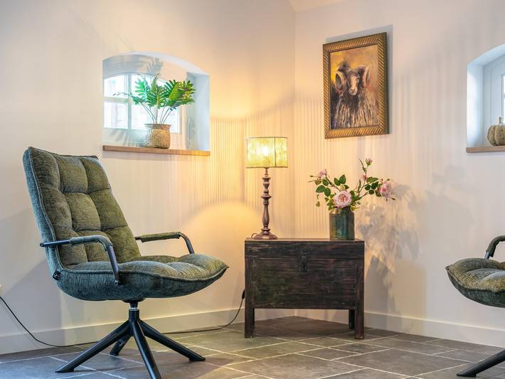 Location de vacances pour 6 personnes, avec jacuzzi et jardin à Putten - 4