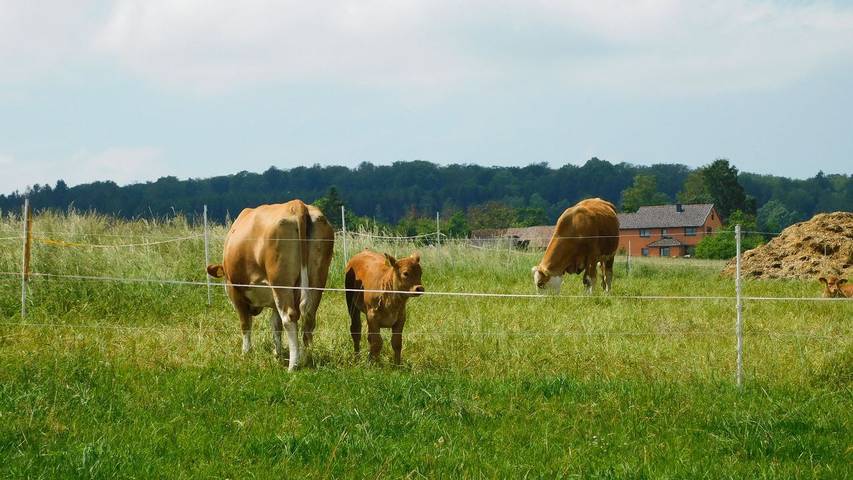 Ferienwohnung für 2 Personen, mit Balkon/Terrasse im Hainich