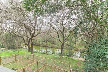 Vacation House for 5 Guests in Austin (TX), Travis County, Picture 1