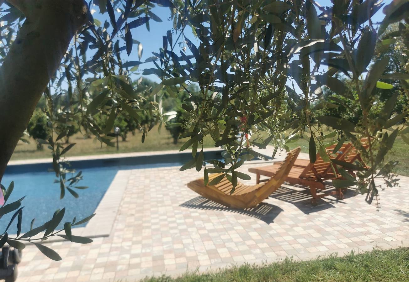 Villa "Domus Nirale" con piscina, terrazza e Wi-Fi in Bagnoregio, Provincia di Viterbo