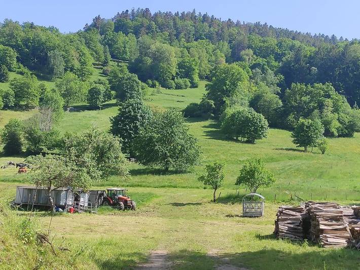 Gîte pour 2 personnes, avec vue à Stosswihr