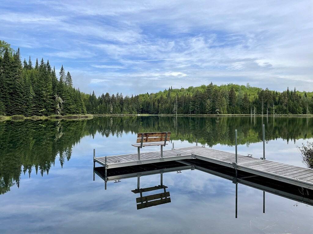 Trailside at Middle Pond in Pittsburg (NH), Coös County