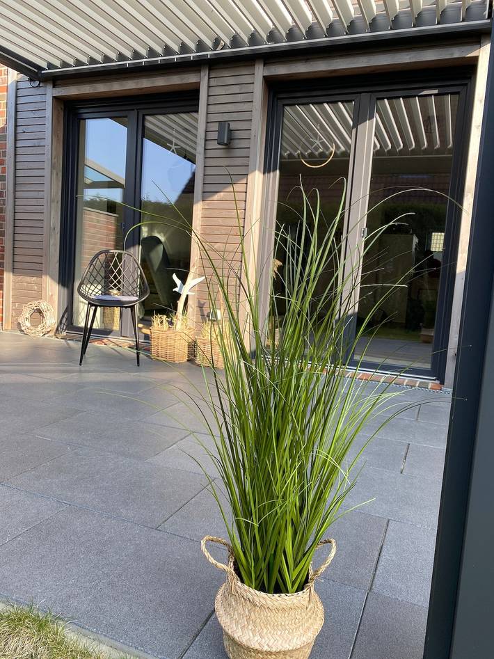 Ferienhaus für 6 Personen, mit Garten und Sauna in Carolinensiel - 4