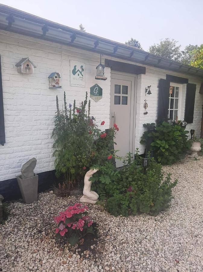 Gîte pour 3 personnes, avec jardin à Leuze-en-Hainaut - 3