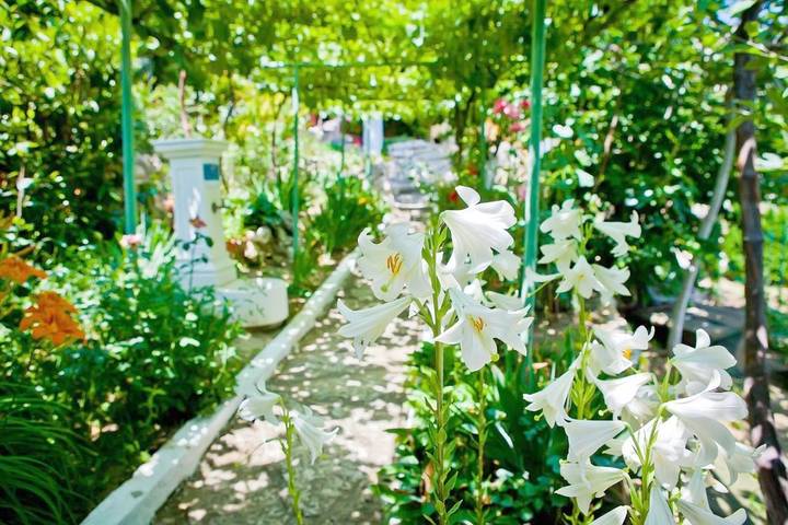 Ferienhaus für 2 Personen, mit Terrasse und Garten in Bulgarien - 4