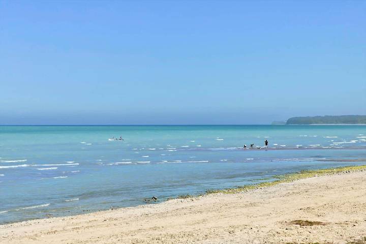 Ferienhaus für 6 Personen, mit Terrasse und Sauna auf Møn - 2