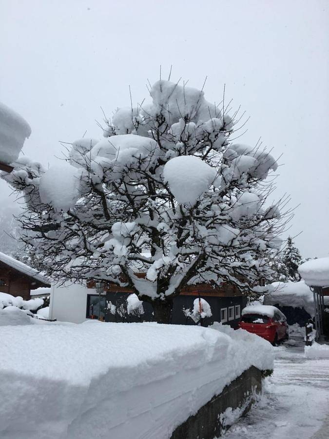 Appartement entier, Haus Walser in Alpes de Lechtal, Tarrenz