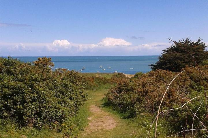 Gîte pour 5 personnes, avec jardin et terrasse dans Plage de la Touesse