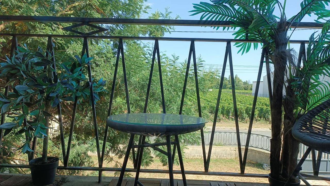 Appartement de vacances entier, Chambre chez moi,chez vous vue sur les vignes in Libourne, Région de Libourne