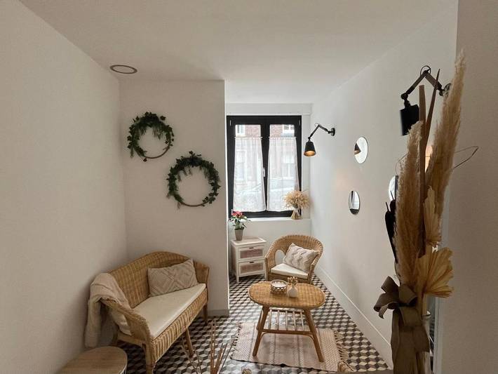 Location de vacances pour 12 personnes, avec terrasse et vue, animaux acceptés à Saint-André-lez-Lille - 2