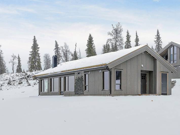 Feriehus for 10 personer, med sauna i Østlandet