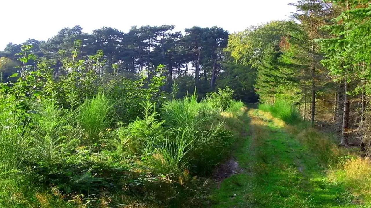 Ferienhaus für 12 Personen (200 m²) in Væggerløse in Væggerløse, Schwedische Ostsee