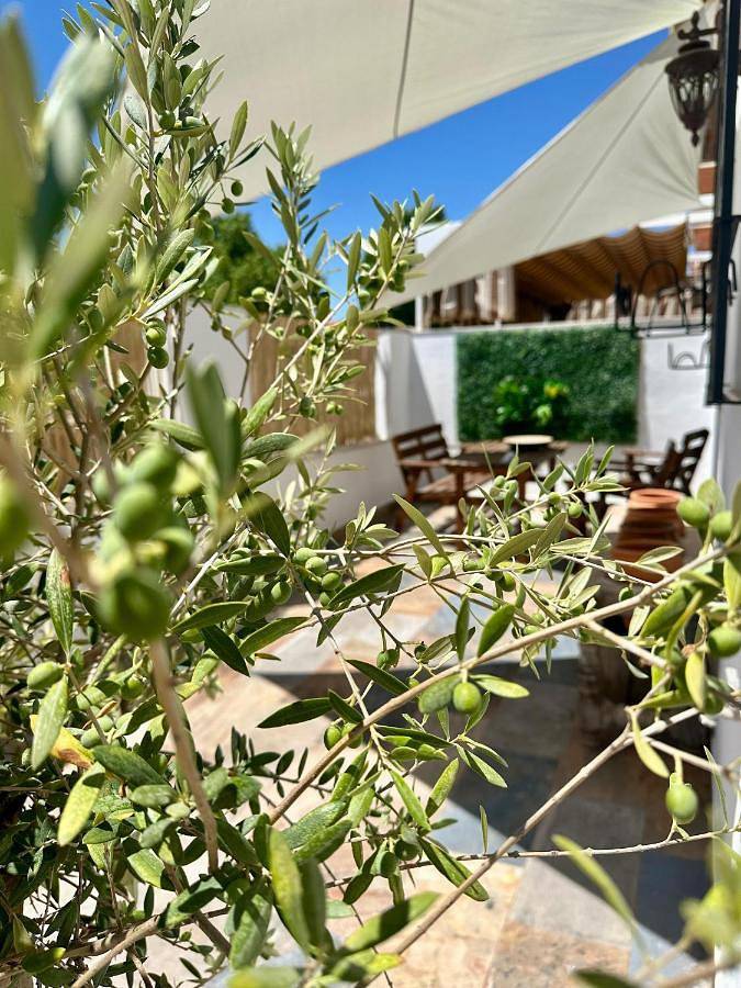 Casa rural para 10 personas, con piscina y terraza en La Victoria