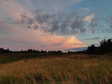 Ferieudlejning til 6 Personer i Hou, Nordøstjylland, Billede 4