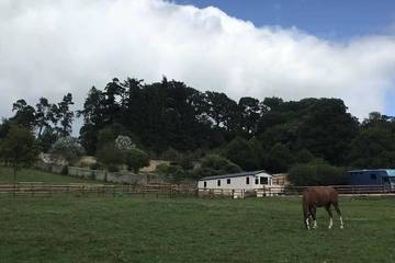 Glamping for 6 People in Shropshire, West Midlands, Photo 4