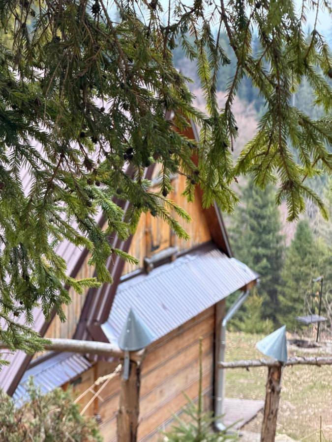 Terenowka Bacowka in Karpaty (Polska)