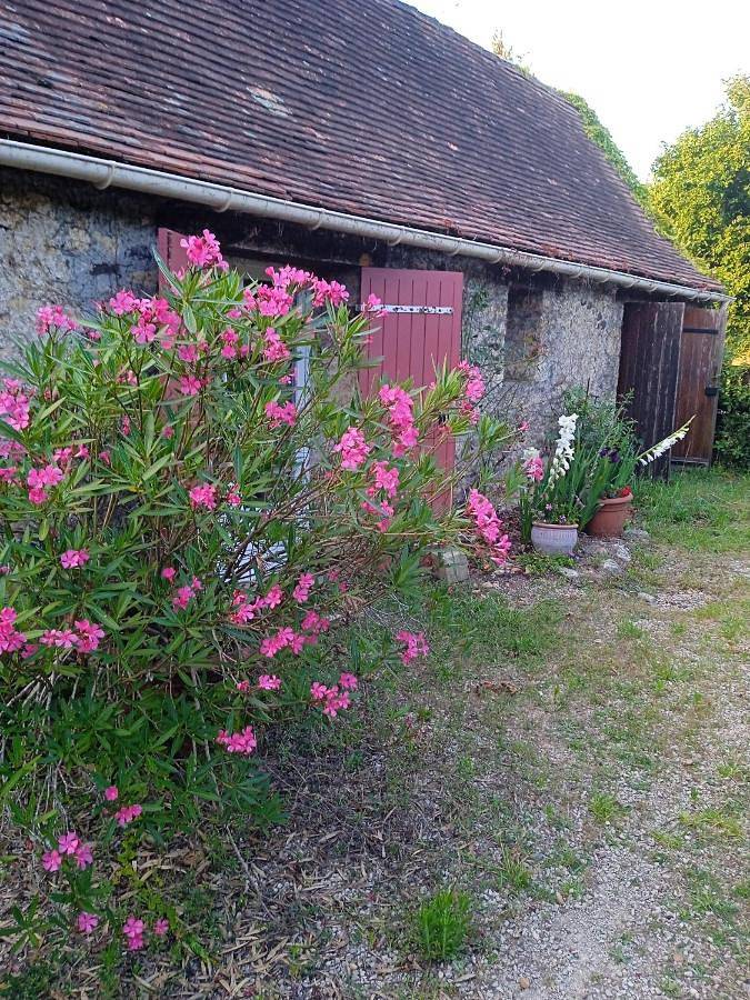 Maison de campagne pour 2 personnes, avec jardin - 1