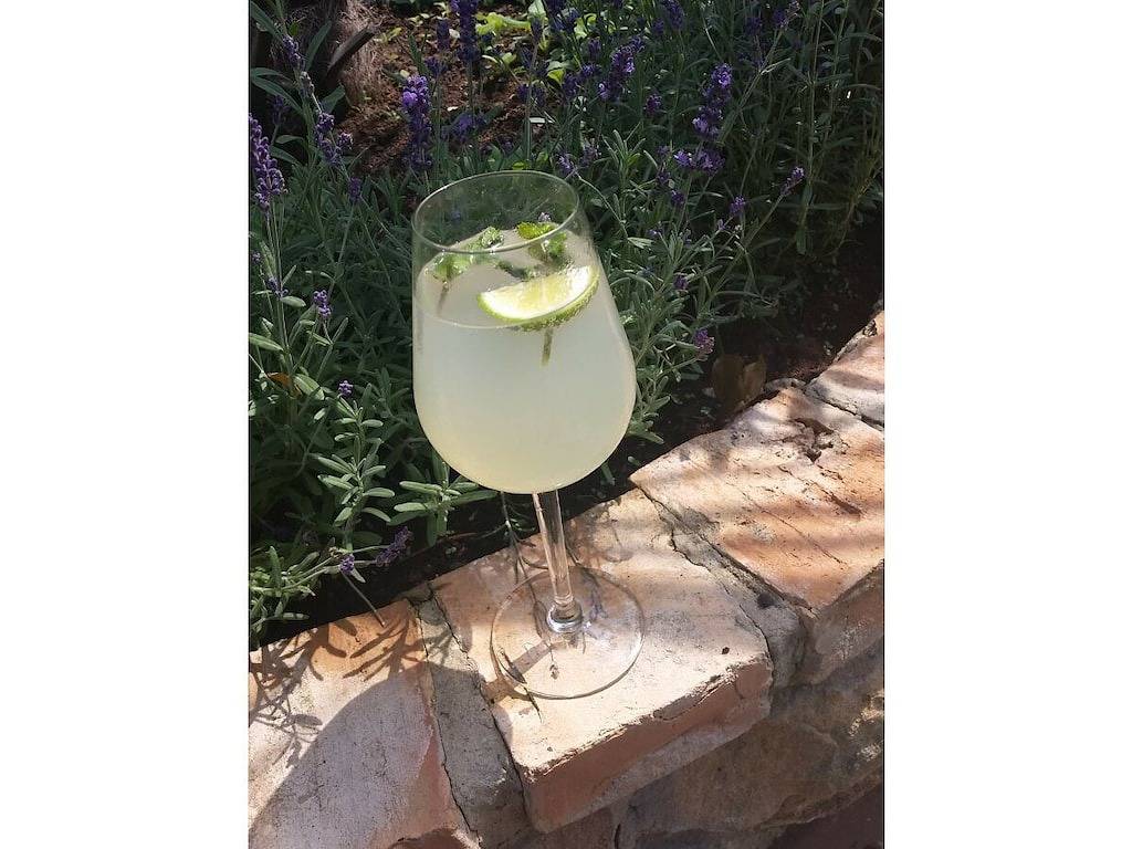 Ferienwohnung mit 1 Schlafzimmer in Wachenheim, Pfälzer Rheinebene