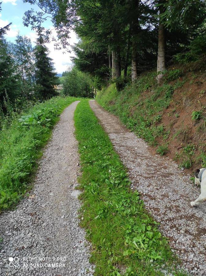 Location de vacances pour 2 personnes, avec terrasse et jardin à Santo Stefano di Cadore - 3