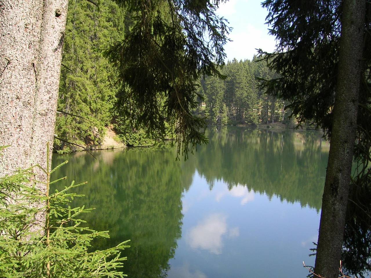Harz-Haus-Bruns, foto 14