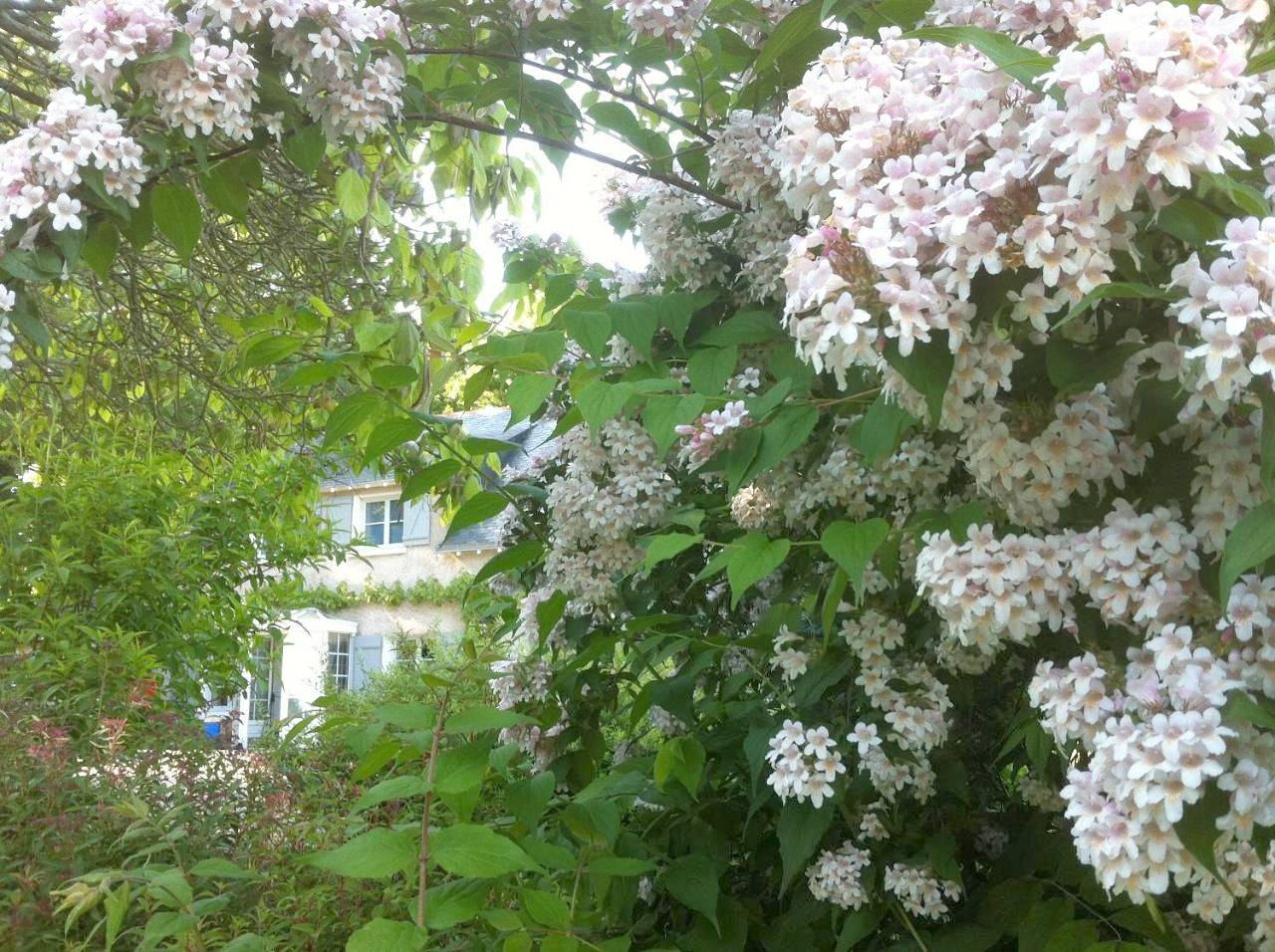 Double or Twin Room in Blaison-Gohier, Vallée de la Loire