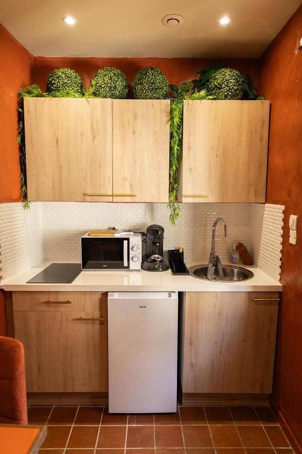 Gîte pour 2 personnes, animaux acceptés dans Office De Tourisme D Arles Camargue - 4