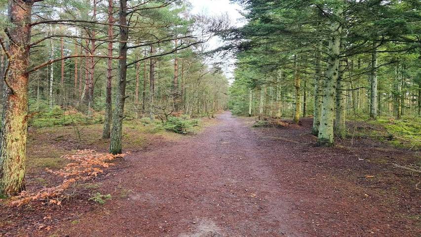 Ferienhaus für 9 Personen, mit Terrasse in Aalbæk - 2