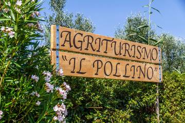 Agriturismo voor 3 Personen in Grosseto, Maremma, Afbeelding 1