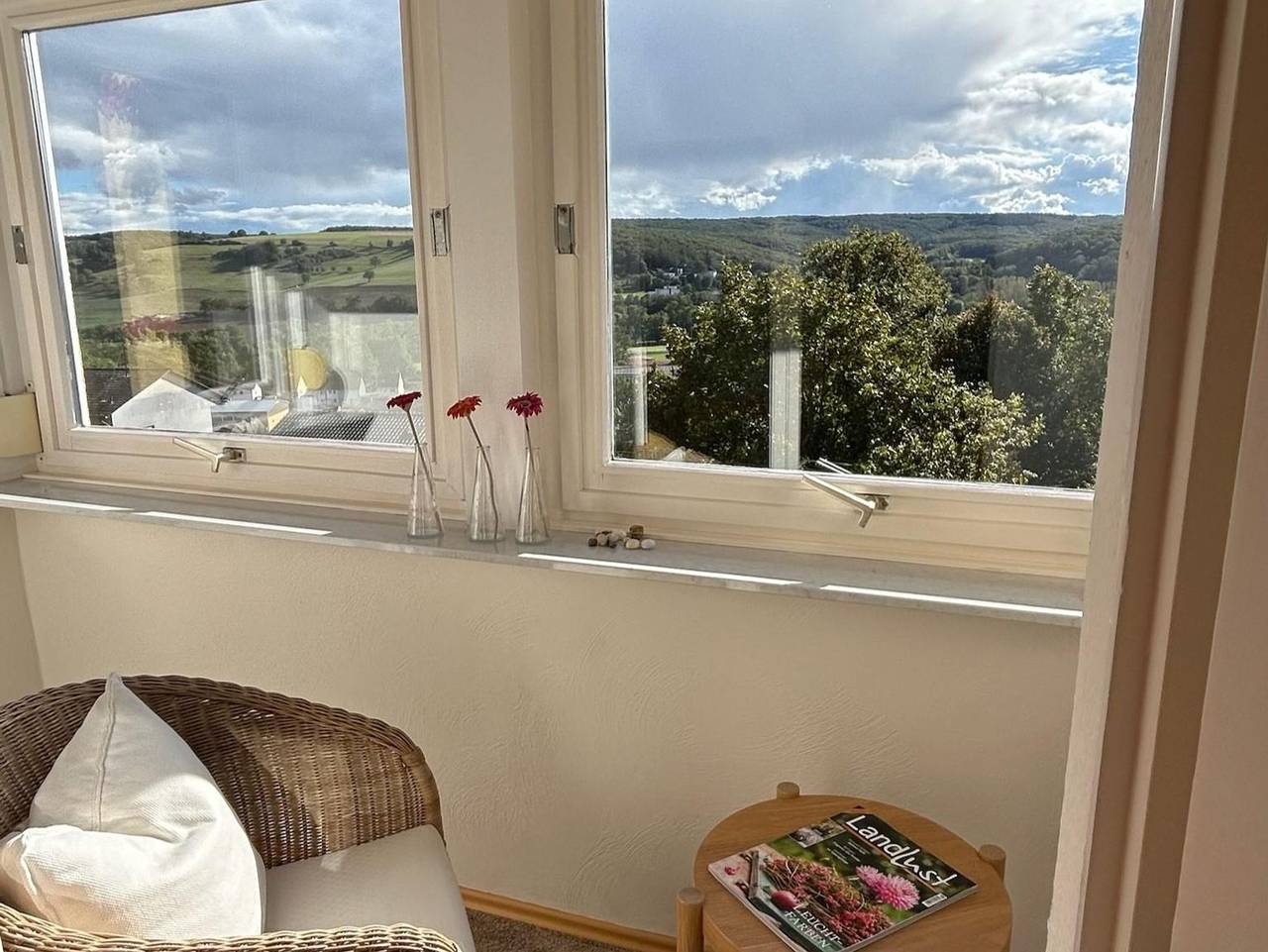 Ganze Ferienwohnung, Ferienwohnung Anton - Appartement/Fewo, Bad, Wc, 1 Schlafraum in Bad Sobernheim, Pfälzer Bergland