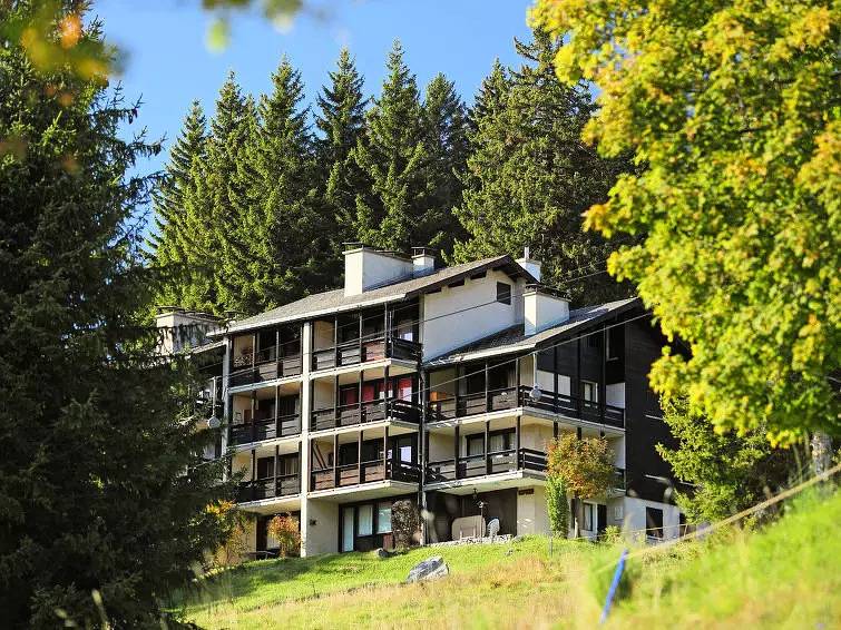 Ganze Wohnung, 3 Pièces 4 Personnes in Gryon, Alpes Vaudoises