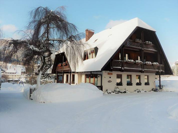 Ferienhaus für 3 Personen in Hinterzarten