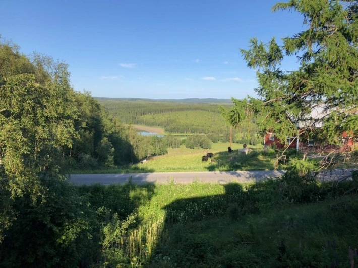 4 stjarniga stuga i Duved in Jämtland