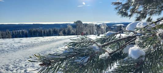 Ferienhaus für 4 Personen, mit Garten in Winterberg