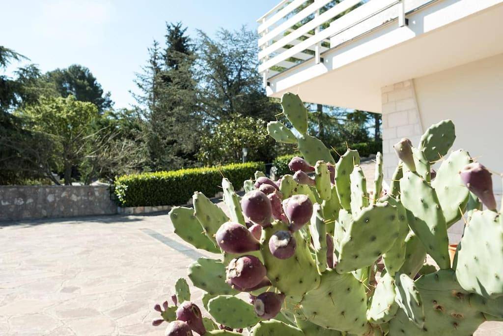 Villa del Petraro Valle D'Itria in Putignano, Provincia di Bari