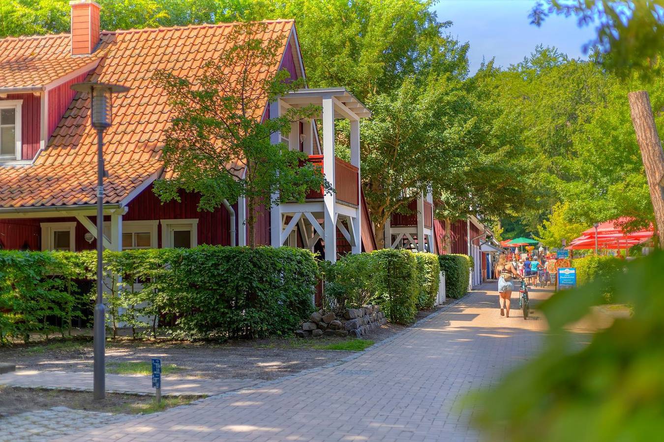 Ganze Wohnung, Ferienwohnung direkt am Strand im Ostseebad Ückeritz auf der Insel Usedom. in Ückeritz, Bernsteinbäder