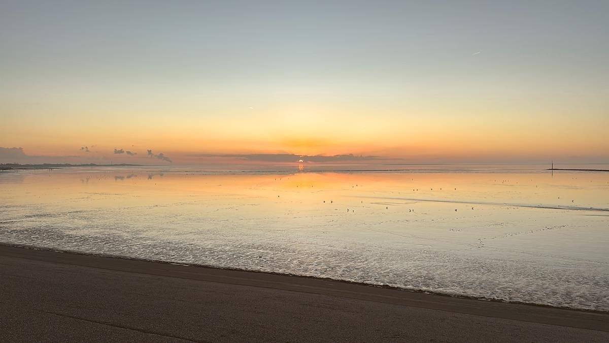 Ferienwohnung Zwergpinscher in Dornumergrode, Dornum