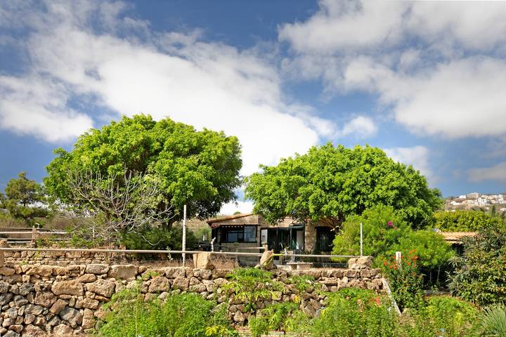 Bauernhof für 11 Personen, mit Garten und Sauna in Granadilla de Abona - 3