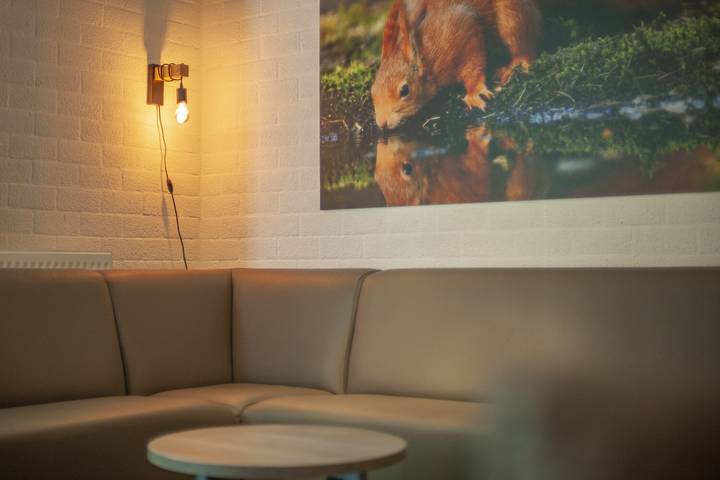 Katjeskelder — Kbl - 6-person bungalow in Oosterhout, Nordbrabant