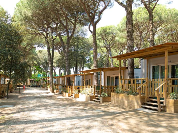 Location de vacances pour 3 personnes, avec terrasse ainsi que sauna et bassin pour enfant, animaux acceptés à Lido di Spina - 2