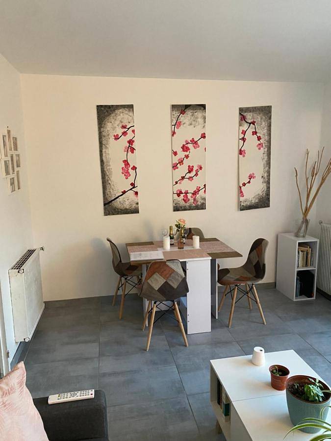 Gîte pour 5 personnes, avec jardin, animaux acceptés à Lormont - 2