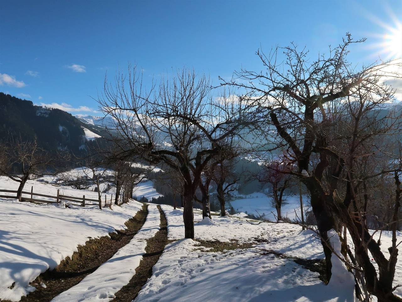 Feldkasten in Wildschönau, Kitzbüheler Alpen