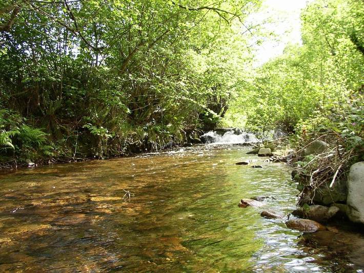 Apartamento de vacaciones para 2 personas, con vistas y jardín en Asturias - 2