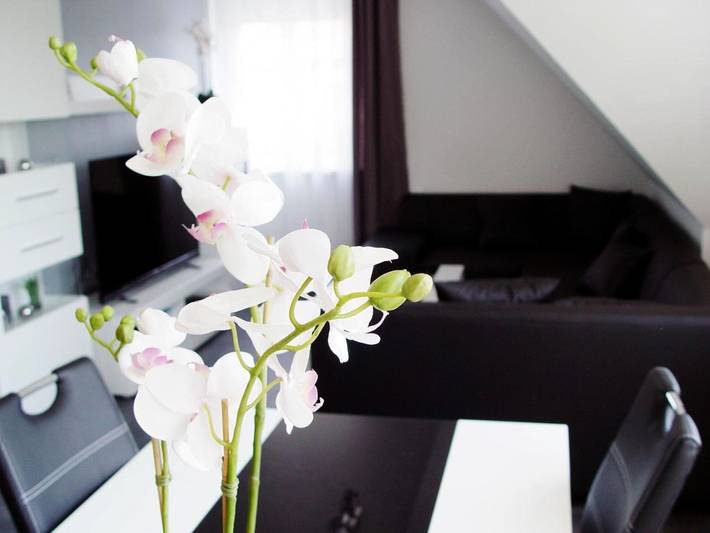 Ferienwohnung für 2 Personen, mit Terrasse und Garten sowie Ausblick in Lotte