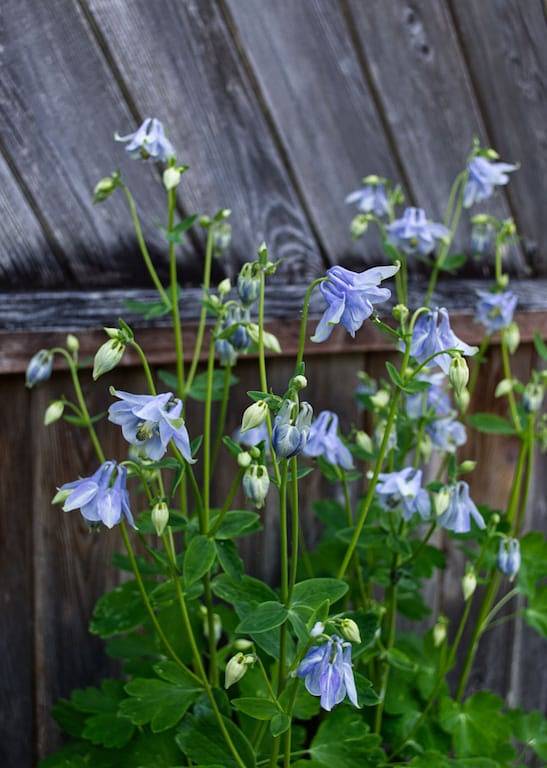 Ferienhaus für 8 Personen, mit Whirlpool und Balkon in British-Columbia