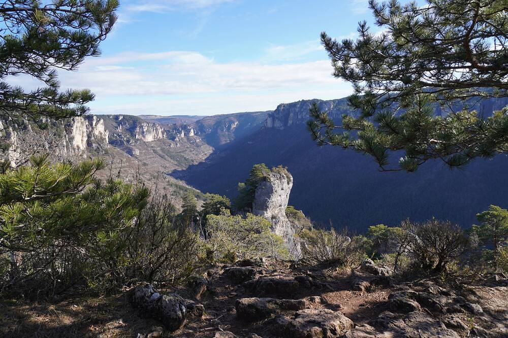 Guest house in Meyrueis \"Between authenticity, nature and the light of the Cévennes\". in Meyrueis, Cévennes