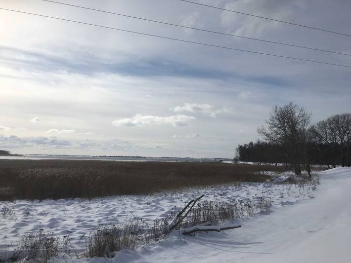 Ferienwohnung für 3 Personen, mit Seeblick und Sauna sowie Garten in Nationalpark Vorpommersche Boddenlandschaft - 2